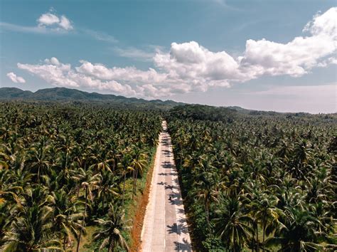 Mindanao .